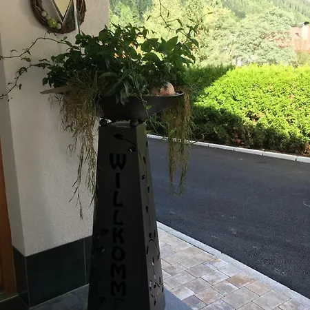 Haus Alpina Pensjonat 3*