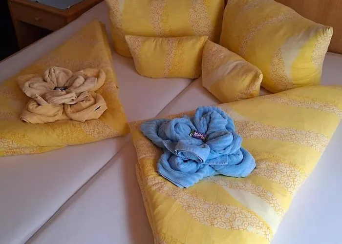 Haus Alpina Πανσιόν 3*