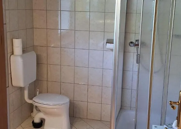Πανσιόν Haus Alpina 3*