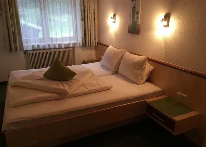 Pensjonat Haus Alpina 3*