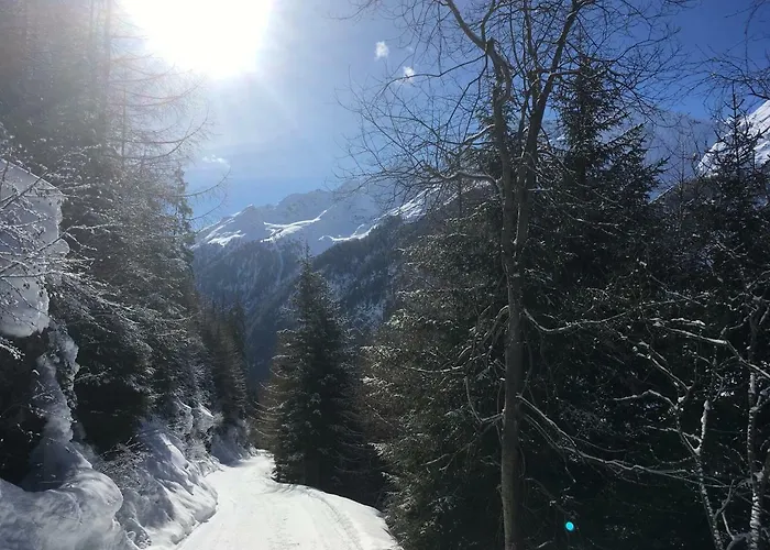 Haus Alpina
