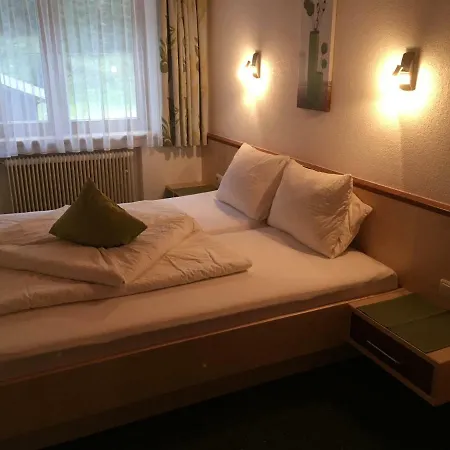 Guest house Haus Alpina 3*