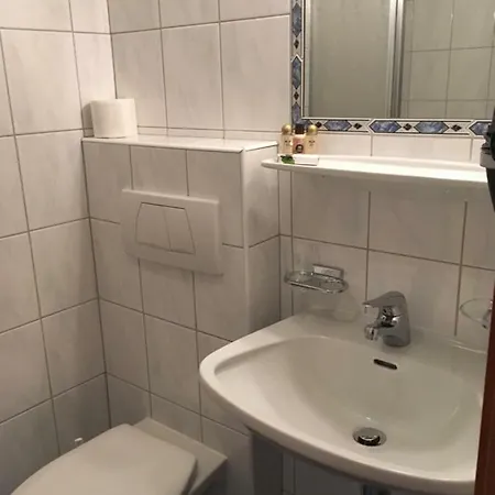 Haus Alpina 3*